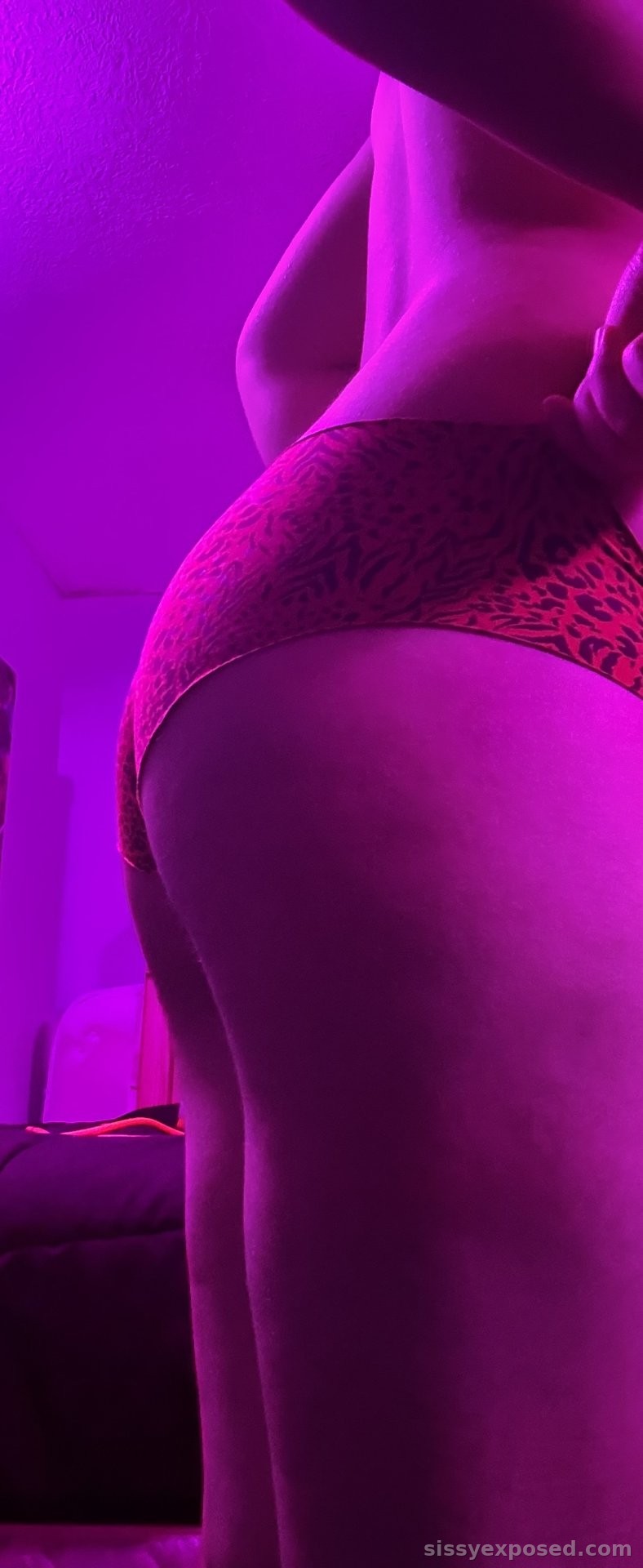 Brand New Sissy