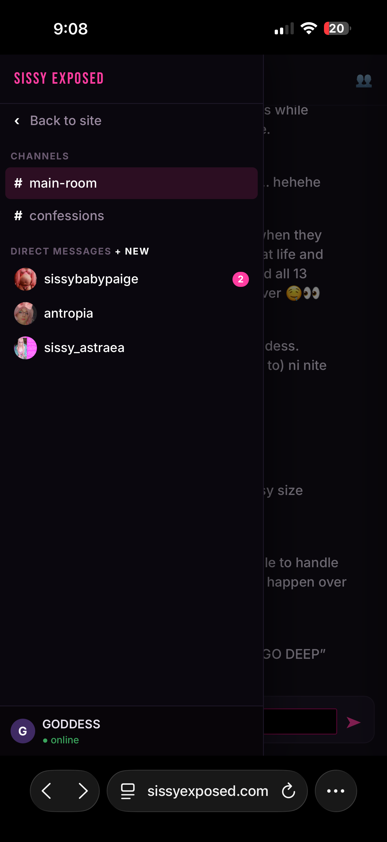 Chat channels and direct messages menu